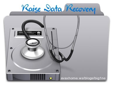 Raise Data Recovery Keygen